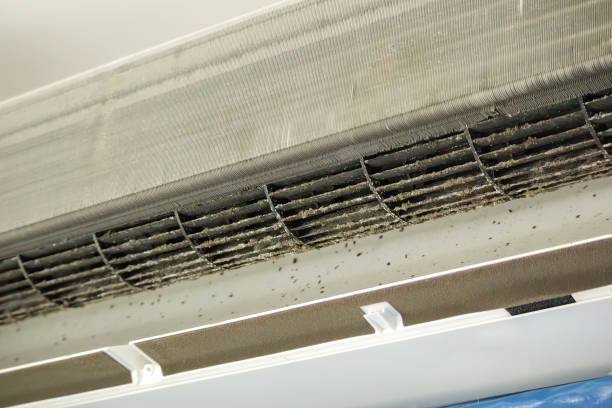 Best Commercial HVAC Duct Cleaning  in Van, TX